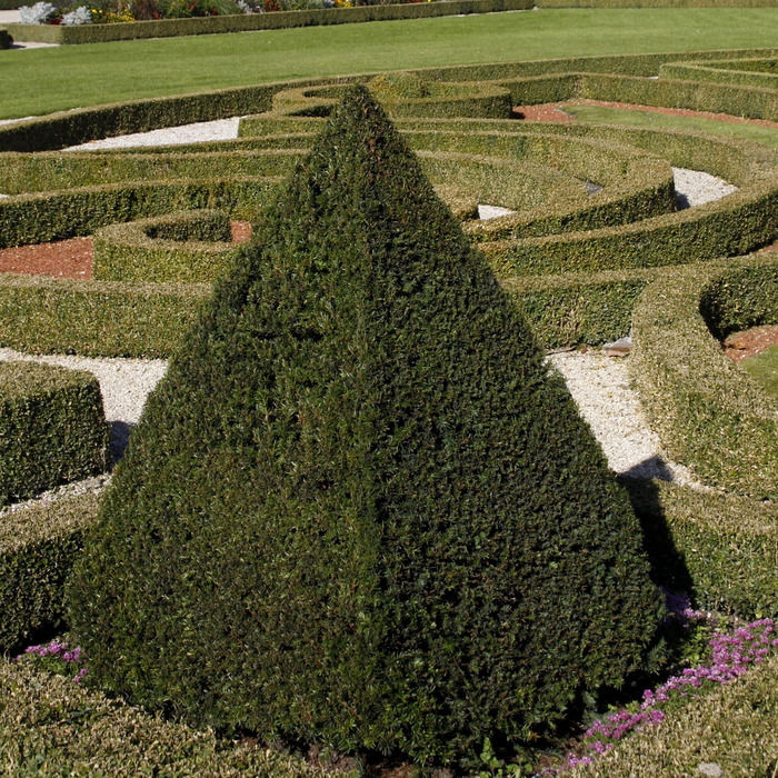 Schloss- und Auenpark Neuhaus